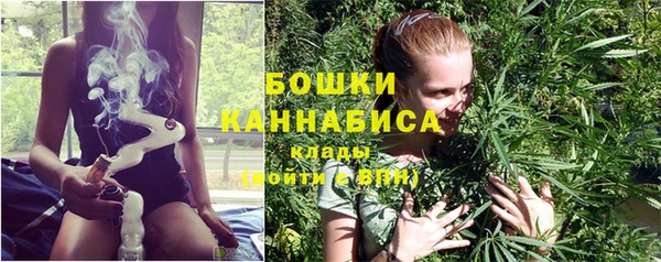 ГАЛЛЮЦИНОГЕННЫЕ ГРИБЫ Аркадак