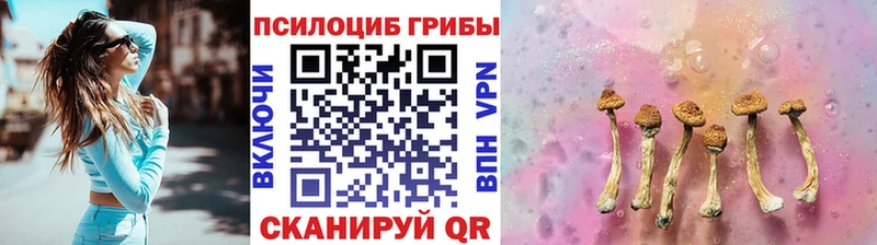 Галлюциногенные грибы прущие грибы  Лесной 