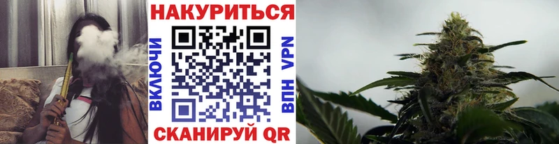 купить наркотики сайты  Лесной  kraken ссылки  Бошки Шишки SATIVA & INDICA 